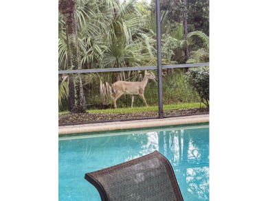 This exceptional 3-bedroom, 2-bathroom screened Pool home with on Champions Club at Summerfield in Florida - for sale on GolfHomes.com, golf home, golf lot