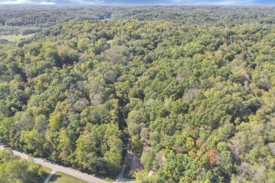 Fantastic building site on over 1.5 acres in Hideaway Hills on Hide-A-Way Hills Golf Club in Ohio - for sale on GolfHomes.com, golf home, golf lot