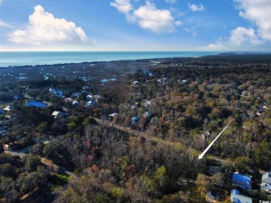 Welcome to Lot 33-B South Causeway Road, just minutes from the on Pawleys Plantation Golf and Country Club in South Carolina - for sale on GolfHomes.com, golf home, golf lot