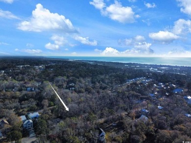 Welcome to Lot 33-B South Causeway Road, just minutes from the on Pawleys Plantation Golf and Country Club in South Carolina - for sale on GolfHomes.com, golf home, golf lot