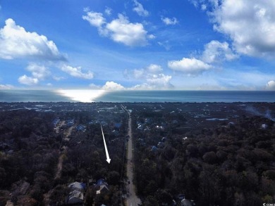 Welcome to Lot 33-B South Causeway Road, just minutes from the on Pawleys Plantation Golf and Country Club in South Carolina - for sale on GolfHomes.com, golf home, golf lot