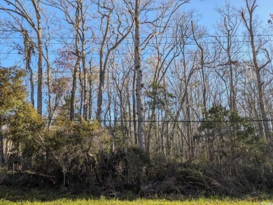 Welcome to Lot 33-B South Causeway Road, just minutes from the on Pawleys Plantation Golf and Country Club in South Carolina - for sale on GolfHomes.com, golf home, golf lot
