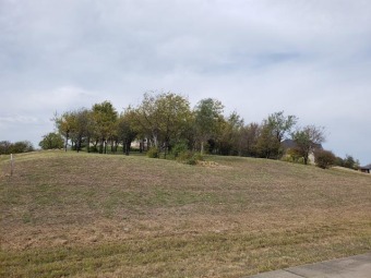 Beautiful 1 acre lot sits up on a hill looking down at the on Tangle Ridge Golf Club in Texas - for sale on GolfHomes.com, golf home, golf lot