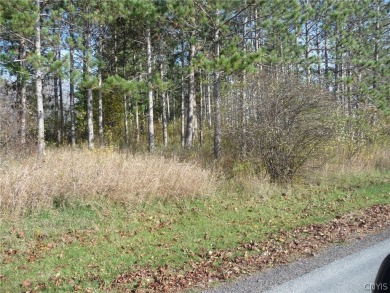 Nice level lot with municipal water and sewer. No Village Taxes on Adams Country Club in New York - for sale on GolfHomes.com, golf home, golf lot