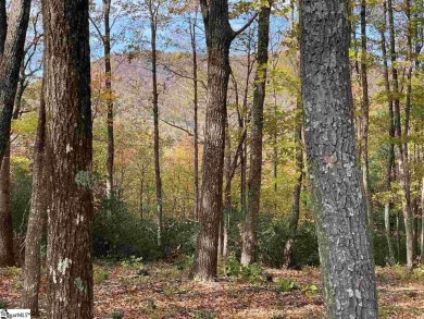Nestled in the mountains just minutes from Greenville, SC, make on The Cliffs Valley Golf Course in South Carolina - for sale on GolfHomes.com, golf home, golf lot