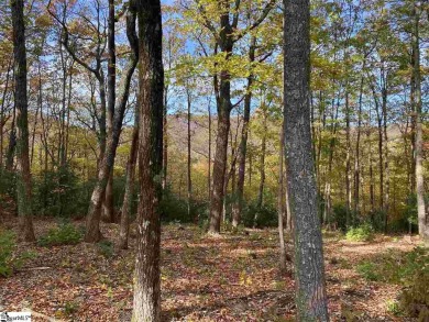 Nestled in the mountains just minutes from Greenville, SC, make on The Cliffs Valley Golf Course in South Carolina - for sale on GolfHomes.com, golf home, golf lot