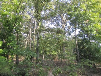 Don't miss seeing this lovely, mostly flat, buildable lot in one on Bella Vista Country Club - Highlands in Arkansas - for sale on GolfHomes.com, golf home, golf lot