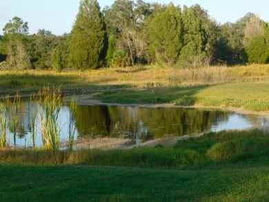 A DIAMOND IN THE ROUGH! 109.6 acres (mol) of scenic land in on The Ridge Manor Oaks Golf and Country Club in Florida - for sale on GolfHomes.com, golf home, golf lot