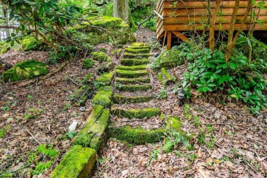 Like something out of Storybook Forest- Tucked beneath a canopy on Paradise Lake Golf Course in West Virginia - for sale on GolfHomes.com, golf home, golf lot