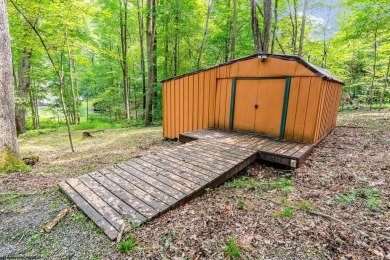 Like something out of Storybook Forest- Tucked beneath a canopy on Paradise Lake Golf Course in West Virginia - for sale on GolfHomes.com, golf home, golf lot