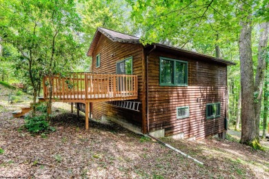 Like something out of Storybook Forest- Tucked beneath a canopy on Paradise Lake Golf Course in West Virginia - for sale on GolfHomes.com, golf home, golf lot