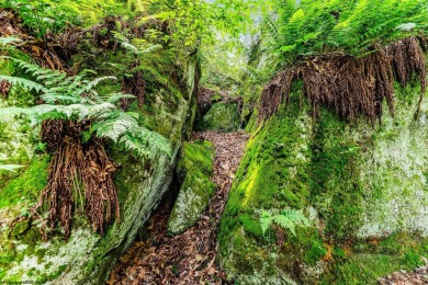 Like something out of Storybook Forest- Tucked beneath a canopy on Paradise Lake Golf Course in West Virginia - for sale on GolfHomes.com, golf home, golf lot