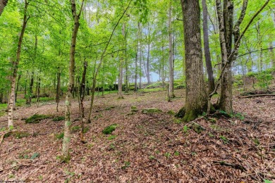 Like something out of Storybook Forest- Tucked beneath a canopy on Paradise Lake Golf Course in West Virginia - for sale on GolfHomes.com, golf home, golf lot