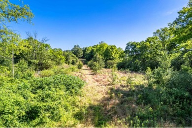 Great opportunity for commercial development at the East Grand on Magic Hills Public Golf Course in Arkansas - for sale on GolfHomes.com, golf home, golf lot