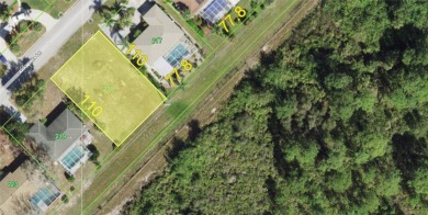 Build your dream home. Take advantage of this rare opportunity on Rotonda Golf and Country Club The Hills Course in Florida - for sale on GolfHomes.com, golf home, golf lot