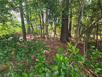 Discover the perfect blend of serenity and recreation with this on Hilltop Lakes Resort Golf Club in Texas - for sale on GolfHomes.com, golf home, golf lot