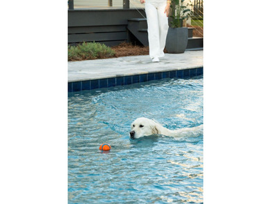 Snee Farm has never looked quite like this! Contemporary on Snee Farm Country Club in South Carolina - for sale on GolfHomes.com, golf home, golf lot