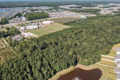 Welcome to this beautiful one-story home with an open concept on World Tour Golf Links in South Carolina - for sale on GolfHomes.com, golf home, golf lot