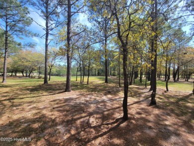 Beautiful naturally treed home site backing up to Leopard's on Ocean Ridge Plantation in North Carolina - for sale on GolfHomes.com, golf home, golf lot