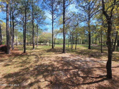 Beautiful naturally treed home site backing up to Leopard's on Ocean Ridge Plantation in North Carolina - for sale on GolfHomes.com, golf home, golf lot
