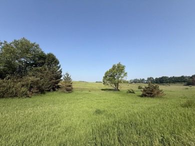 Great opportunity for open acreage just south of Hart. Located on Oceana Golf Club in Michigan - for sale on GolfHomes.com, golf home, golf lot