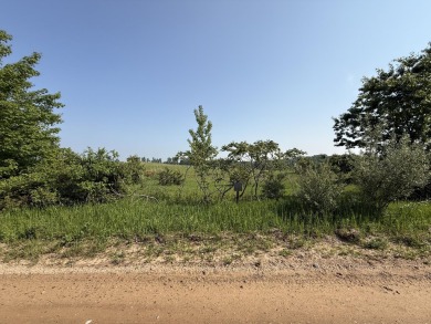 Great opportunity for open acreage just south of Hart. Located on Oceana Golf Club in Michigan - for sale on GolfHomes.com, golf home, golf lot