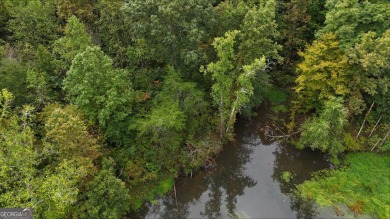 Discover the perfect canvas for your dream home on this 3 on Hawks Ridge Golf Club in Georgia - for sale on GolfHomes.com, golf home, golf lot