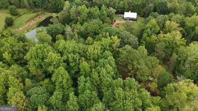 Discover the perfect canvas for your dream home on this 3 on Hawks Ridge Golf Club in Georgia - for sale on GolfHomes.com, golf home, golf lot
