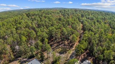 Build your East Texas dream home in Rayburn Country! This on Rayburn Country Club in Texas - for sale on GolfHomes.com, golf home, golf lot