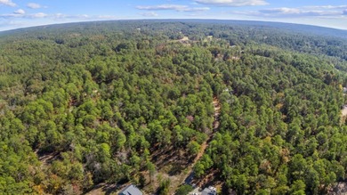 Build your East Texas dream home in Rayburn Country! This on Rayburn Country Club in Texas - for sale on GolfHomes.com, golf home, golf lot