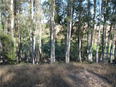 This 6.77 acre parcel is a flag lot located on the east side of on Bear Creek Golf and Country Club in California - for sale on GolfHomes.com, golf home, golf lot
