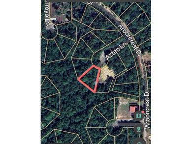 Beautiful 1/4 acre lot in the heart of Rayburn Country! Located on Rayburn Country Club in Texas - for sale on GolfHomes.com, golf home, golf lot