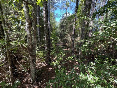Beautiful 1/4 acre lot in the heart of Rayburn Country! Located on Rayburn Country Club in Texas - for sale on GolfHomes.com, golf home, golf lot