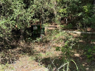 Beautiful 1/4 acre lot in the heart of Rayburn Country! Located on Rayburn Country Club in Texas - for sale on GolfHomes.com, golf home, golf lot