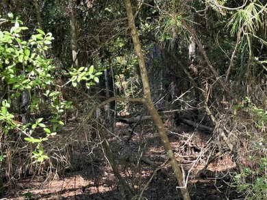 Beautiful 1/4 acre lot in the heart of Rayburn Country! Located on Rayburn Country Club in Texas - for sale on GolfHomes.com, golf home, golf lot