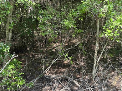 Beautiful 1/4 acre lot in the heart of Rayburn Country! Located on Rayburn Country Club in Texas - for sale on GolfHomes.com, golf home, golf lot