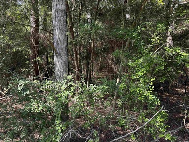 Beautiful 1/4 acre lot in the heart of Rayburn Country! Located on Rayburn Country Club in Texas - for sale on GolfHomes.com, golf home, golf lot