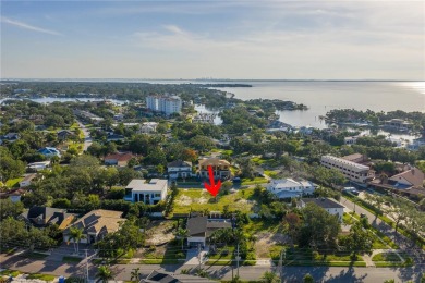 Exceptional Opportunity: Two Adjacent Buildable Lots in Snell on The Renaisssance Vinoy Golf Club in Florida - for sale on GolfHomes.com, golf home, golf lot