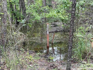 Seasonal Waterfront/Water Access lot in a secluded area of on Rayburn Country Club in Texas - for sale on GolfHomes.com, golf home, golf lot