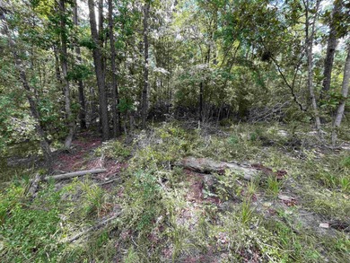 Seasonal Waterfront/Water Access lot in a secluded area of on Rayburn Country Club in Texas - for sale on GolfHomes.com, golf home, golf lot