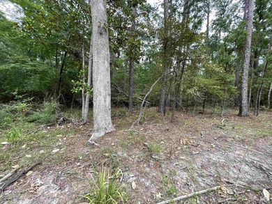 Seasonal Waterfront/Water Access lot in a secluded area of on Rayburn Country Club in Texas - for sale on GolfHomes.com, golf home, golf lot