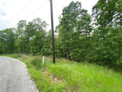 Slightly slopping .31ac lot on a quiet loop in the coveted on Branchwood Golf Course in Arkansas - for sale on GolfHomes.com, golf home, golf lot