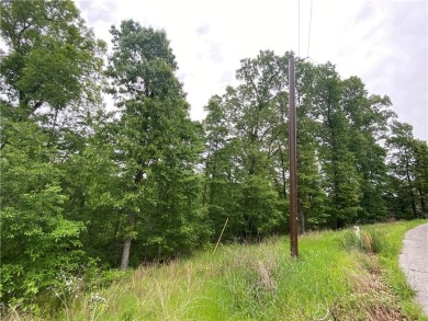 Slightly slopping .31ac lot on a quiet loop in the coveted on Branchwood Golf Course in Arkansas - for sale on GolfHomes.com, golf home, golf lot