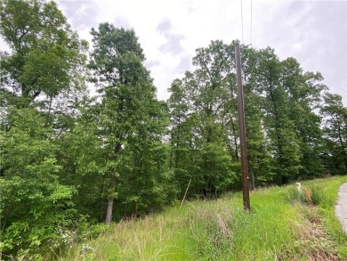 Slightly slopping .31ac lot on a quiet loop in the coveted on Branchwood Golf Course in Arkansas - for sale on GolfHomes.com, golf home, golf lot