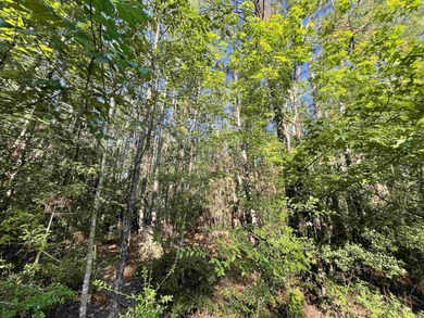 Welcome to a lifestyle shift, peaceful, relaxation and ease. Be on Rayburn Country Club in Texas - for sale on GolfHomes.com, golf home, golf lot