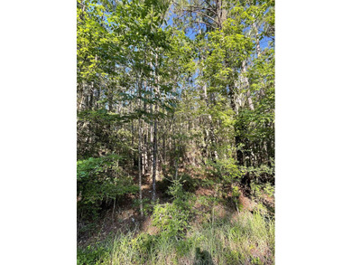 Welcome to a lifestyle shift, peaceful, relaxation and ease. Be on Rayburn Country Club in Texas - for sale on GolfHomes.com, golf home, golf lot