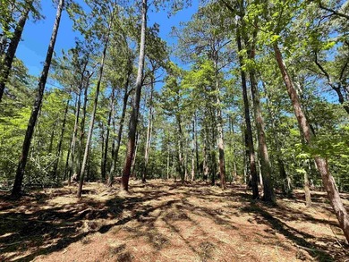 Look no further! Here is a LEVEL, CLEARED CORNER with all on Rayburn Country Club in Texas - for sale on GolfHomes.com, golf home, golf lot