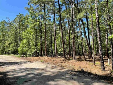 Look no further! Here is a LEVEL, CLEARED CORNER with all on Rayburn Country Club in Texas - for sale on GolfHomes.com, golf home, golf lot