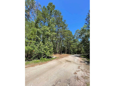 Look no further! Here is a LEVEL, CLEARED CORNER with all on Rayburn Country Club in Texas - for sale on GolfHomes.com, golf home, golf lot