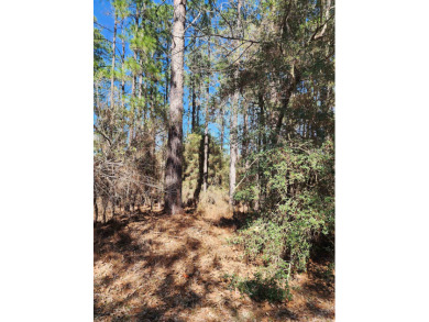 Come build your East Texas dream home St beautiful Lake Sam on Rayburn Country Club in Texas - for sale on GolfHomes.com, golf home, golf lot